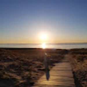 Meet your Posher, Tom